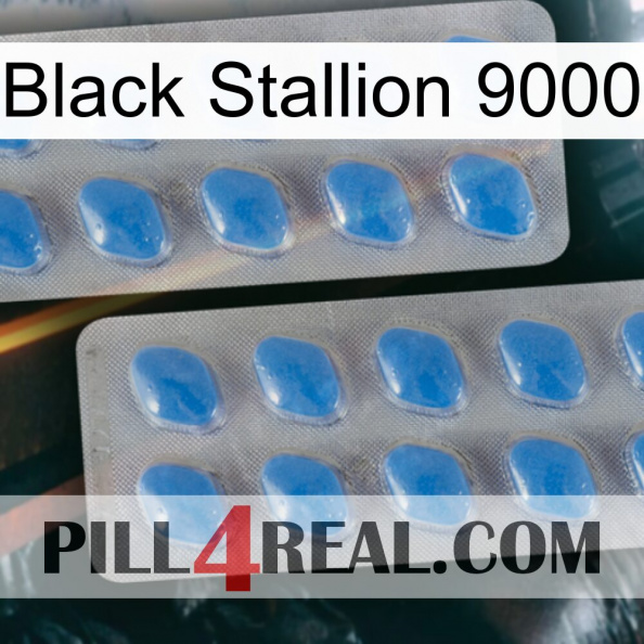 Black Stallion 9000 23.jpg